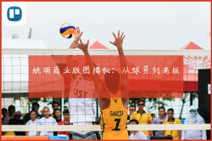 姚明商业版图揭秘:从球员到老板