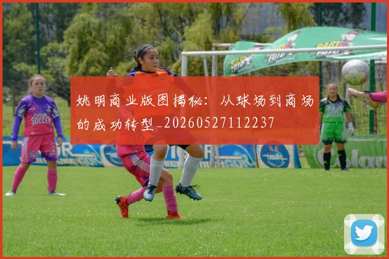 姚明商业版图揭秘:从球场到商场的成功转型_20260527112237